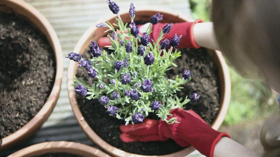 download - 2025-12-18T140332.492